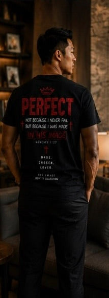 Premium heavyweight PERFECT streetwear tee